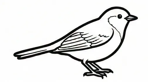 a bird with a black and white outline 2.webp
